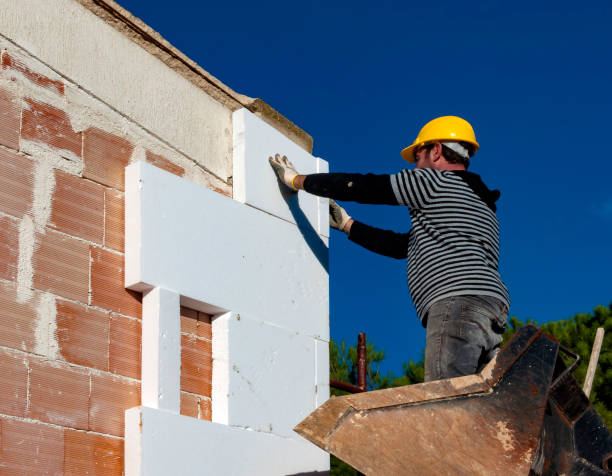 Best Local Insulation Services  in Jamul, CA
