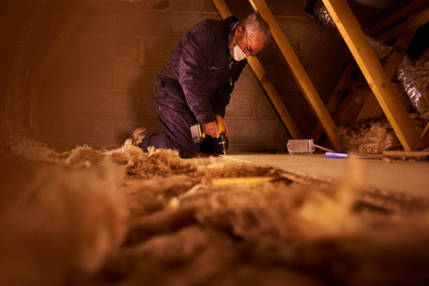Best Cellulose Insulation  in Jamul, CA